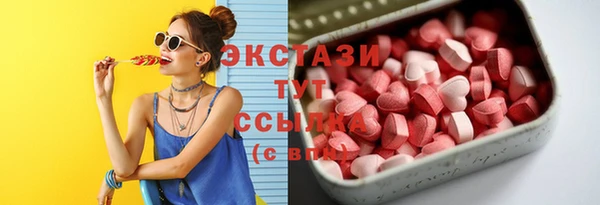СК Богородск