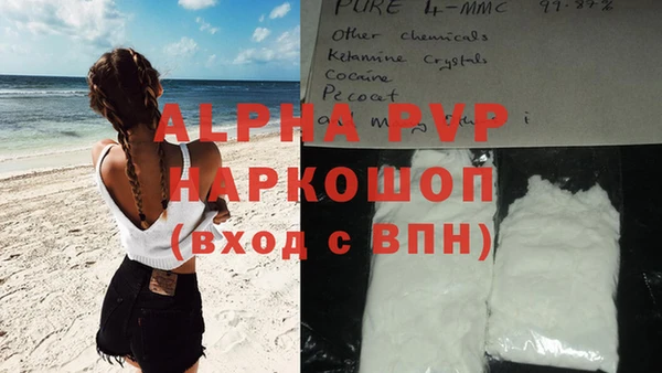 ПСИЛОЦИБИНОВЫЕ ГРИБЫ Беломорск